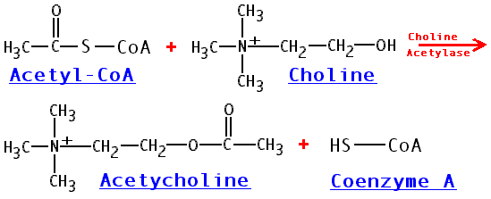 achmake.gif (5436 bytes)